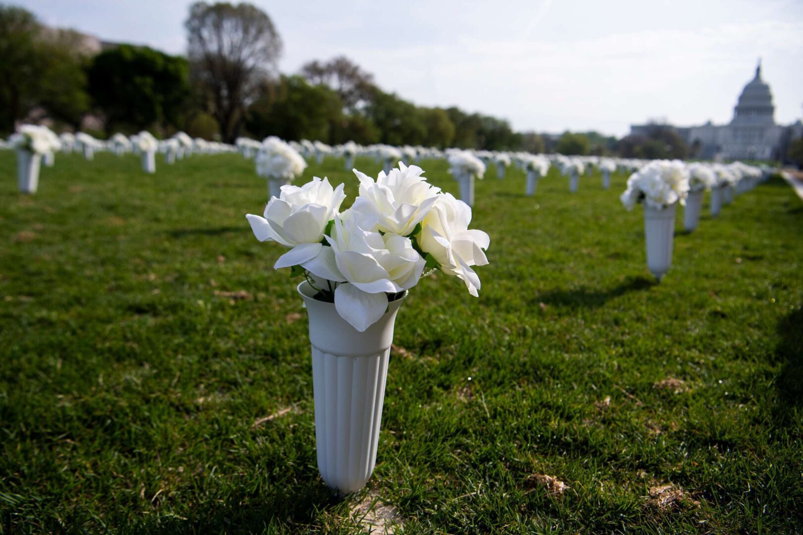 The Gun Violence Memorial, composed of 40,000 flowers that represent the deaths from gun violence in the United States each year, is pictured on the National Mall on April 14, 2021.