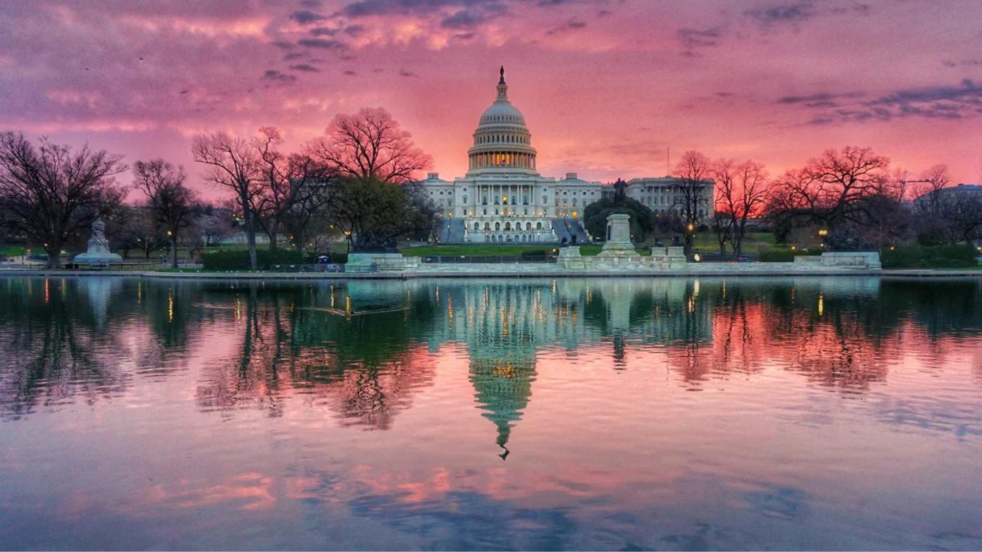 webinar-the-new-policymakers-scotus-its-growing-influence-on-policy-and-elections-17